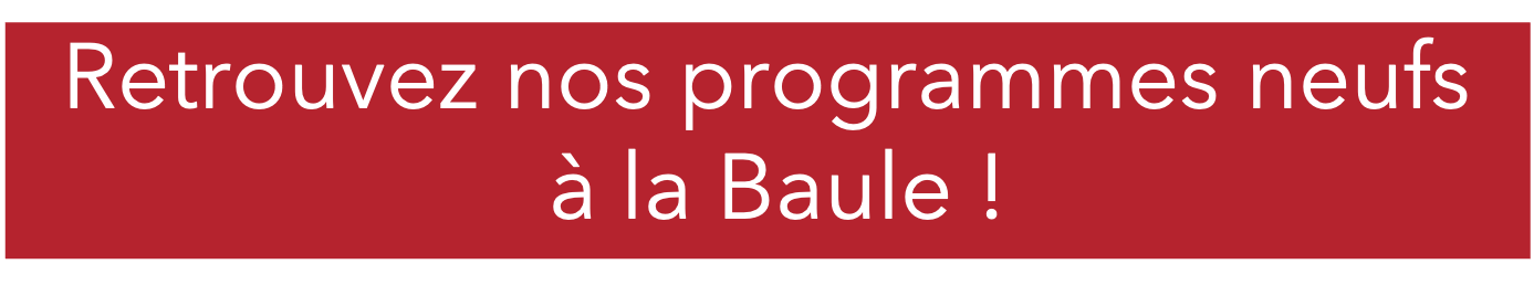 programmes-neufs-la-baule