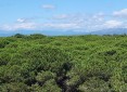 Programme Neuf Le Bahia Le Barcarès